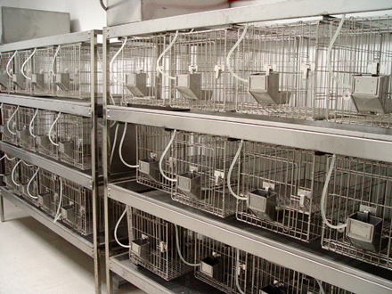 實驗室動物房設計標準規范